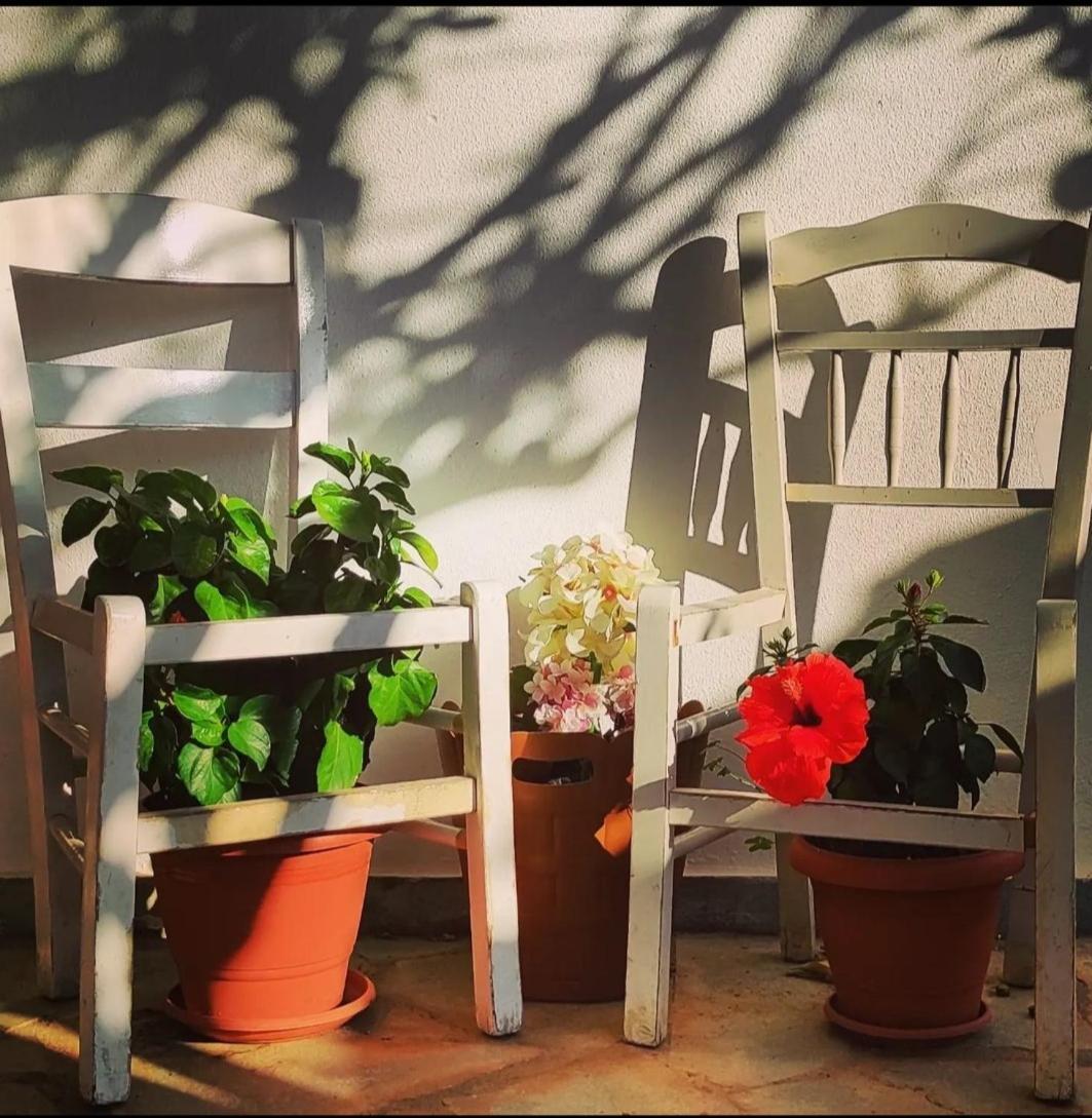 Secret Garden Home Lagonissi Attiki Melissourgoú Exteriör bild